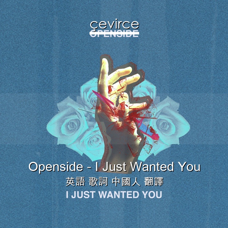 Openside – I Just Wanted You 英語 歌詞 中國人 翻譯