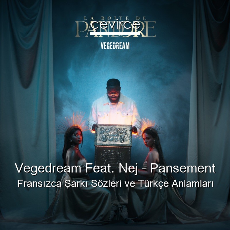 Vegedream Feat. Nej – Pansement Fransızca Şarkı Sözleri Türkçe Anlamları