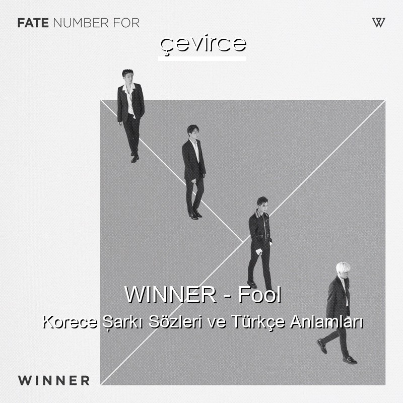 WINNER – Fool Korece Şarkı Sözleri Türkçe Anlamları