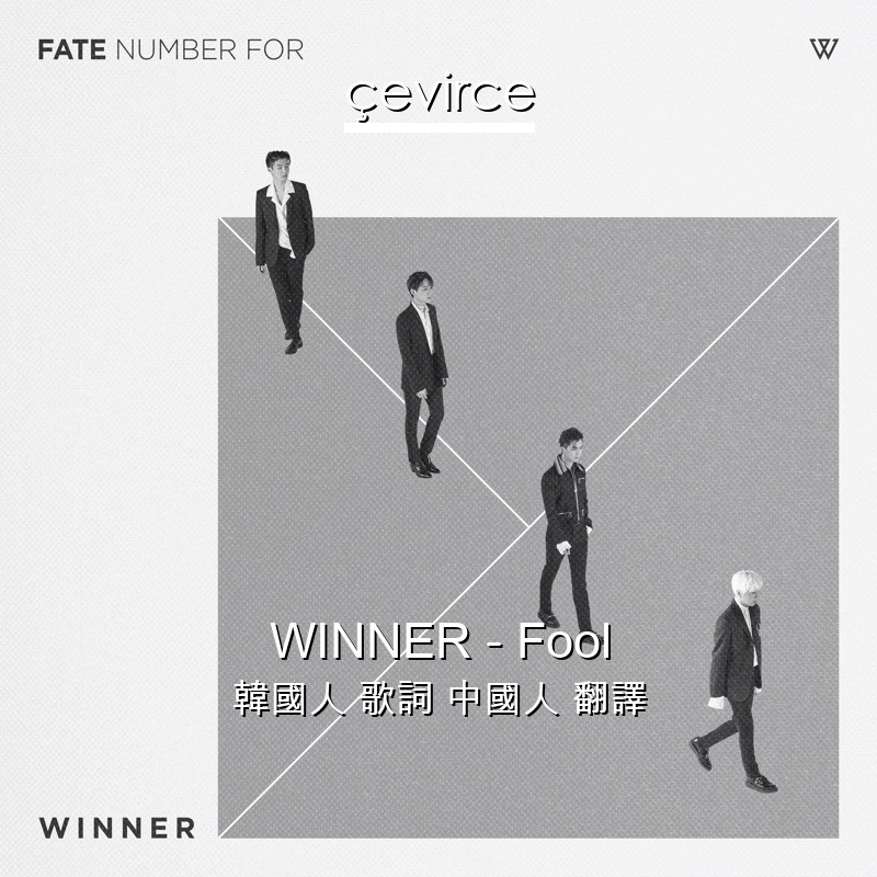 WINNER – Fool 韓國人 歌詞 中國人 翻譯