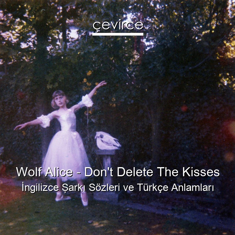 Wolf Alice – Don’t Delete The Kisses İngilizce Şarkı Sözleri Türkçe Anlamları