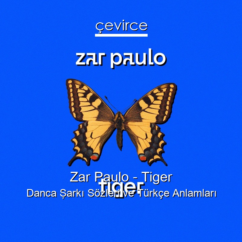 Zar Paulo – Tiger Danca Şarkı Sözleri Türkçe Anlamları