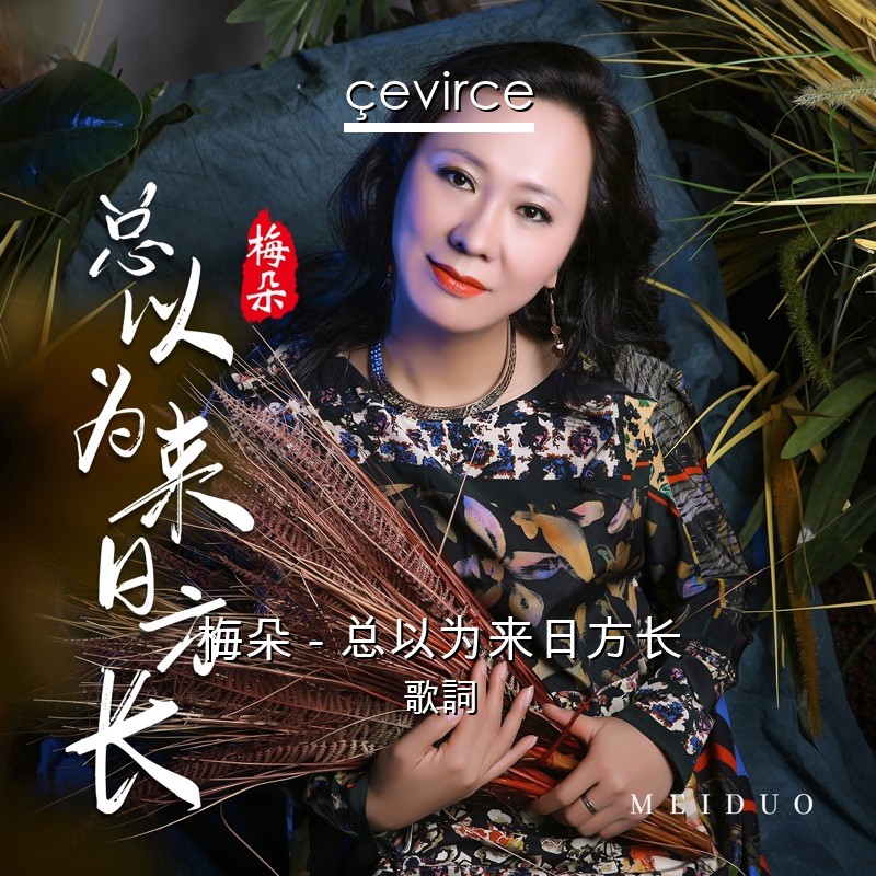 梅朵 – 总以为来日方长 歌詞