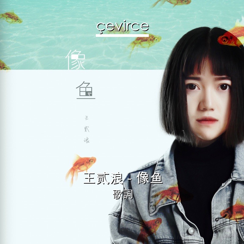 王贰浪​​ – 像鱼 歌詞
