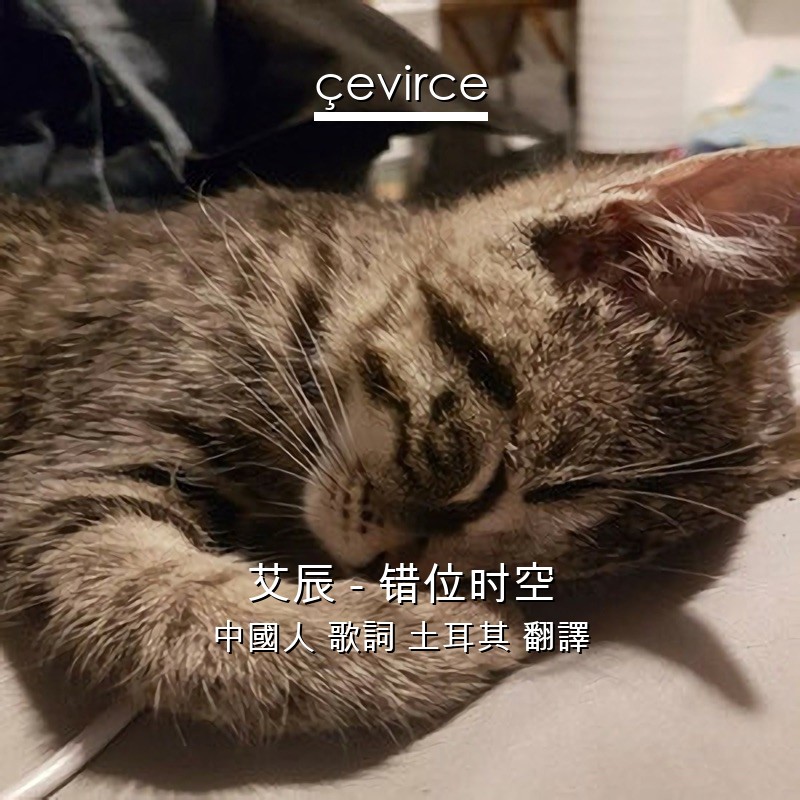 艾辰 – 错位时空 中國人 歌詞 土耳其 翻譯