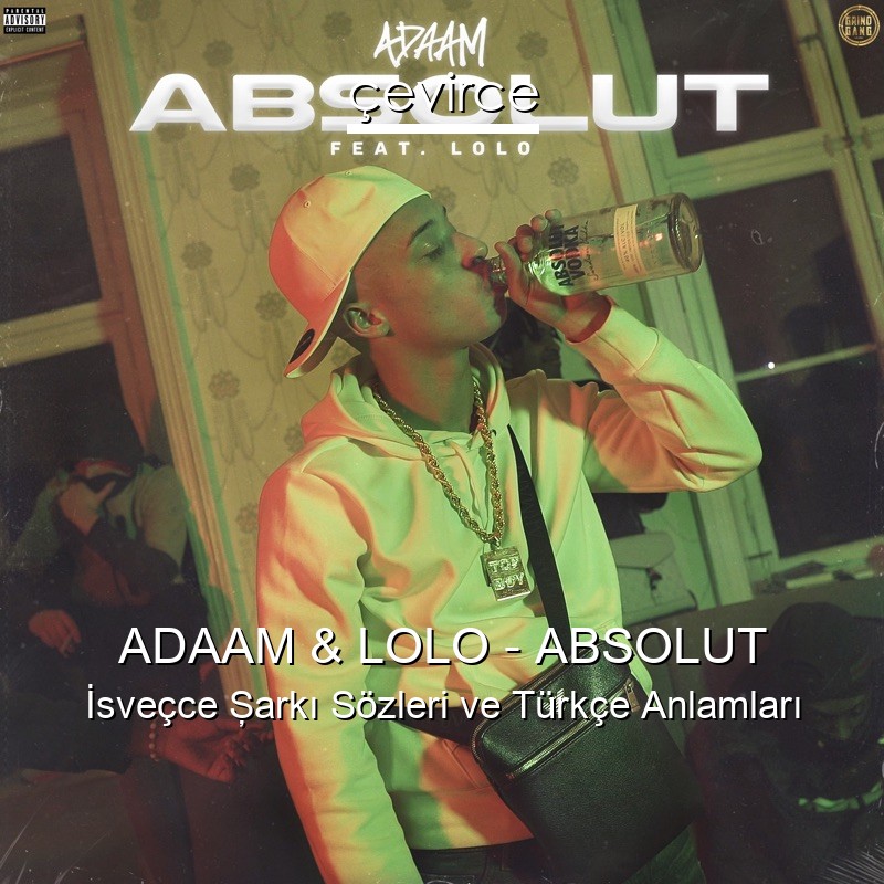 ADAAM & LOLO – ABSOLUT İsveçce Şarkı Sözleri Türkçe Anlamları