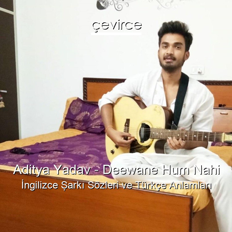 Aditya Yadav – Deewane Hum Nahi Şarkı Sözleri Türkçe Anlamları
