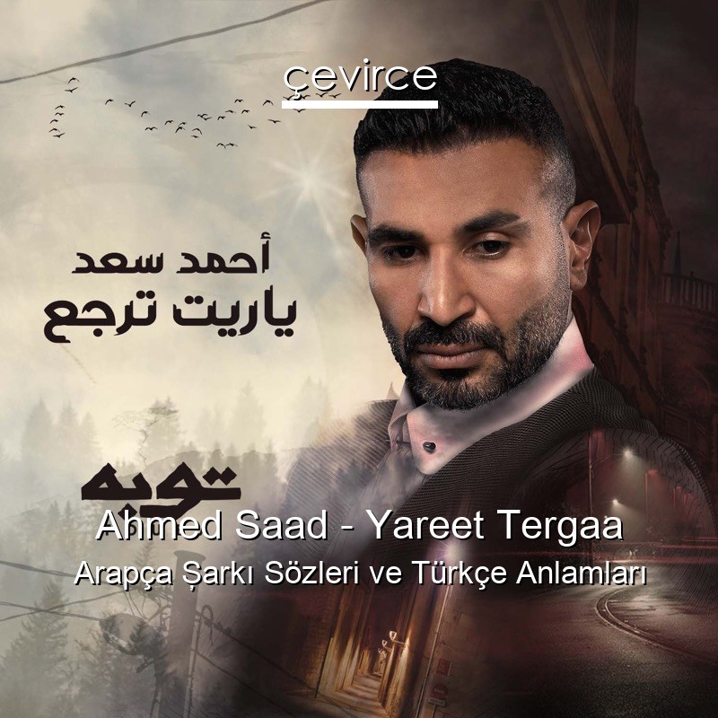Ahmed Saad – Yareet Tergaa Arapça Şarkı Sözleri Türkçe Anlamları