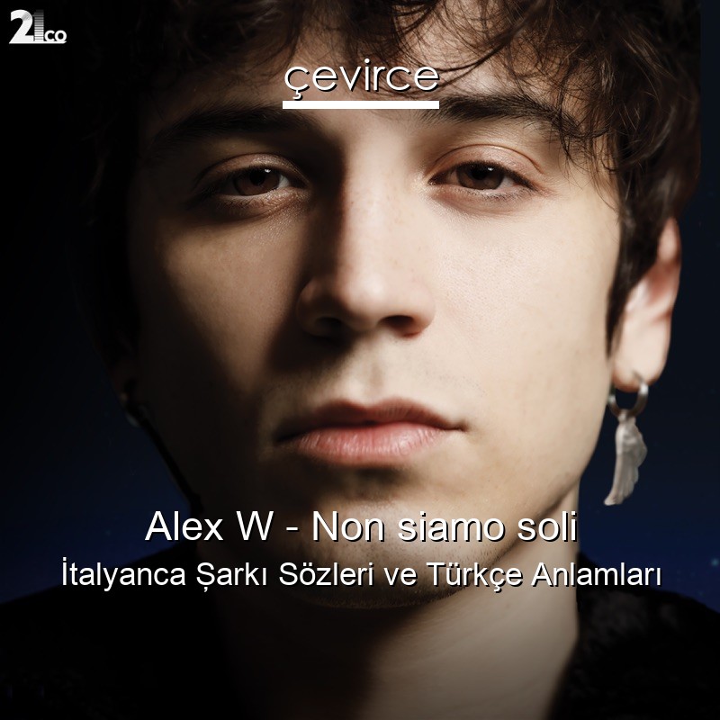 Alex W – Non siamo soli İtalyanca Şarkı Sözleri Türkçe Anlamları