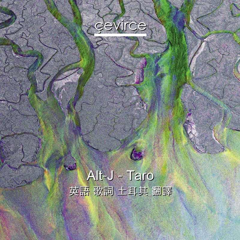Alt-J – Taro 英語 歌詞 土耳其 翻譯