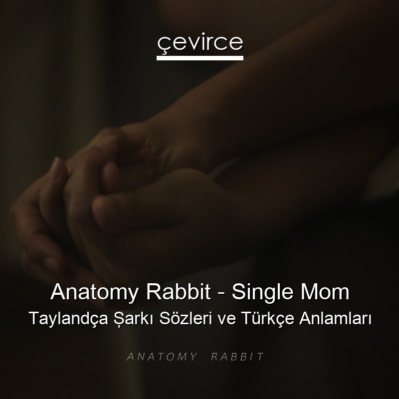 Anatomy Rabbit – Single Mom Taylandça Şarkı Sözleri Türkçe Anlamları