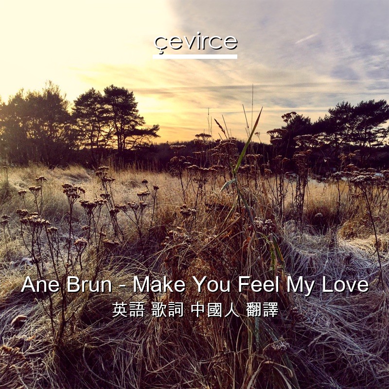 Ane Brun – Make You Feel My Love 英語 歌詞 中國人 翻譯