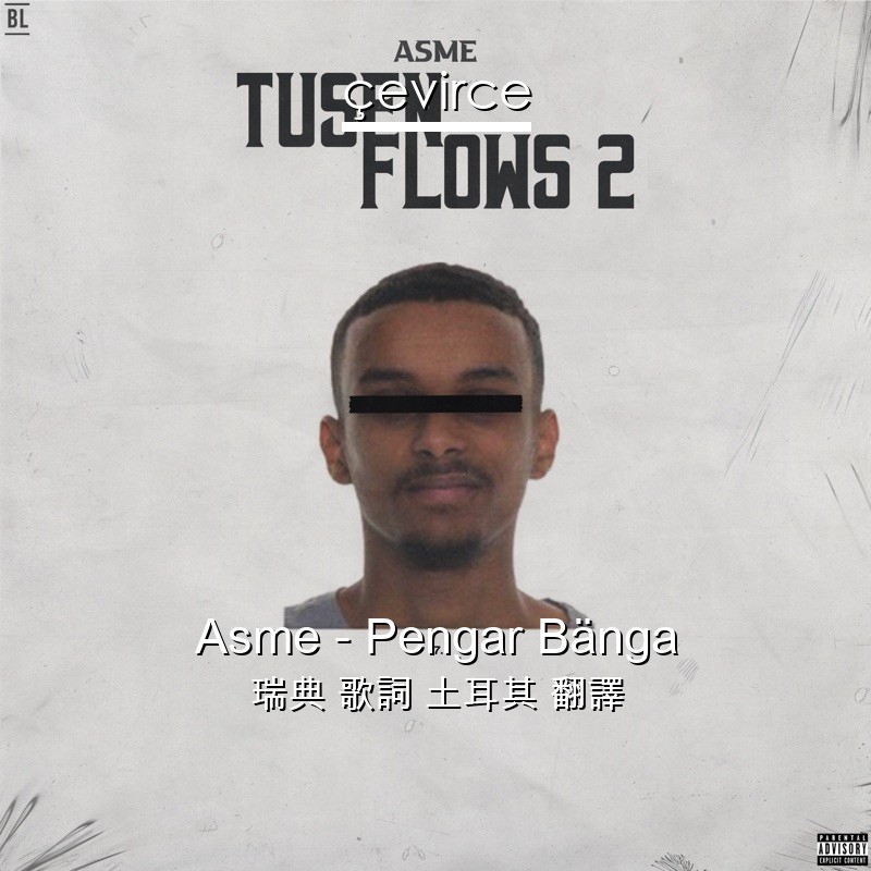 Asme – Pengar Bänga 瑞典 歌詞 土耳其 翻譯