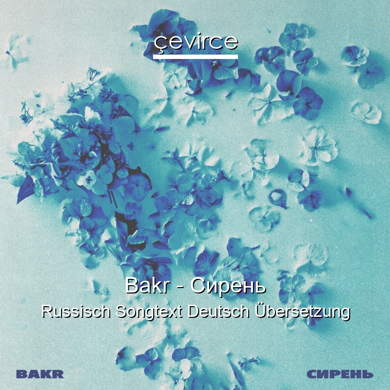 Bakr – Сирень Russisch Songtext Deutsch Übersetzung