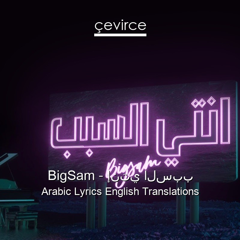 BigSam – إنتي السبب Arabic Lyrics English Translations