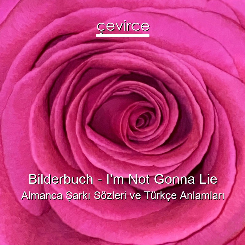 Bilderbuch – I’m Not Gonna Lie Almanca Şarkı Sözleri Türkçe Anlamları