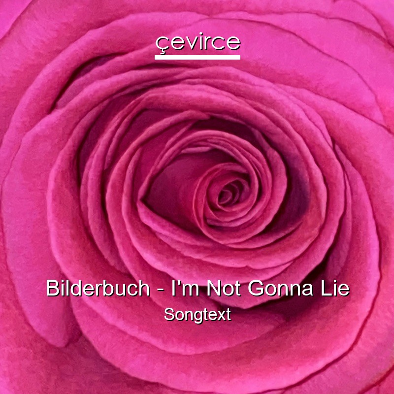 Bilderbuch – I’m Not Gonna Lie Songtext