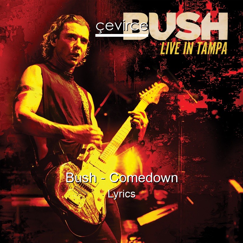 Bush – Comedown Lyrics
