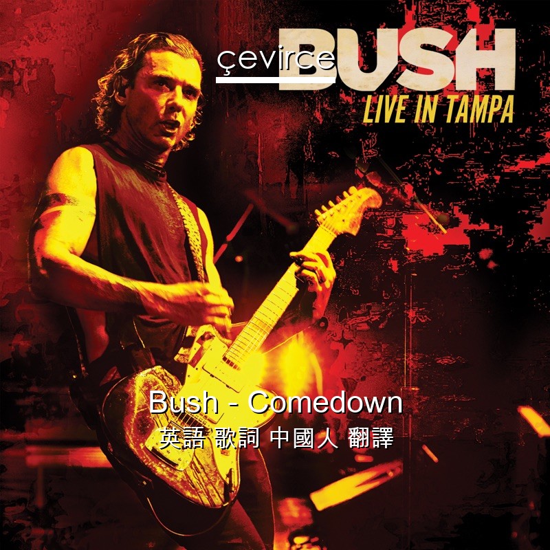 Bush – Comedown 英語 歌詞 中國人 翻譯