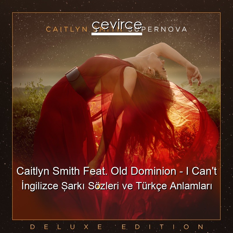 Caitlyn Smith Feat. Old Dominion – I Can’t İngilizce Şarkı Sözleri Türkçe Anlamları