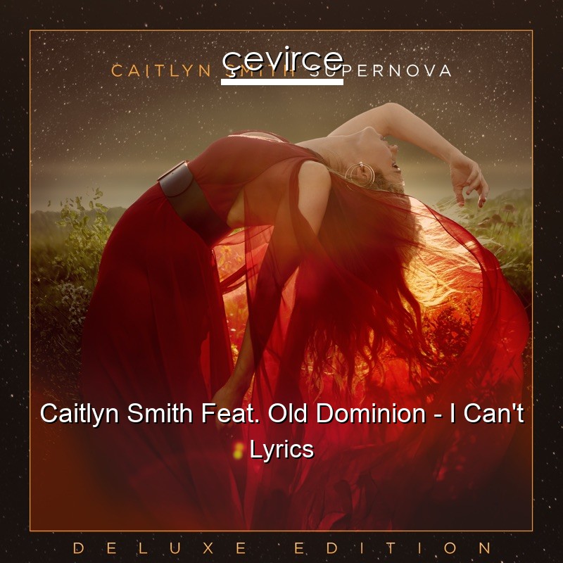 Caitlyn Smith Feat. Old Dominion – I Can’t Lyrics