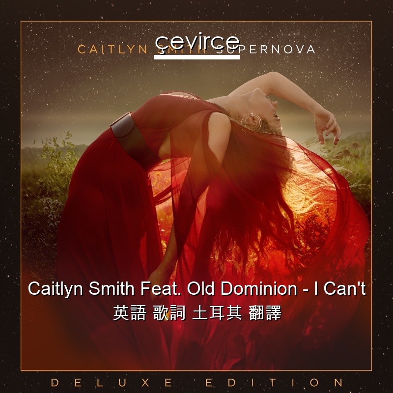 Caitlyn Smith Feat. Old Dominion – I Can’t 英語 歌詞 土耳其 翻譯