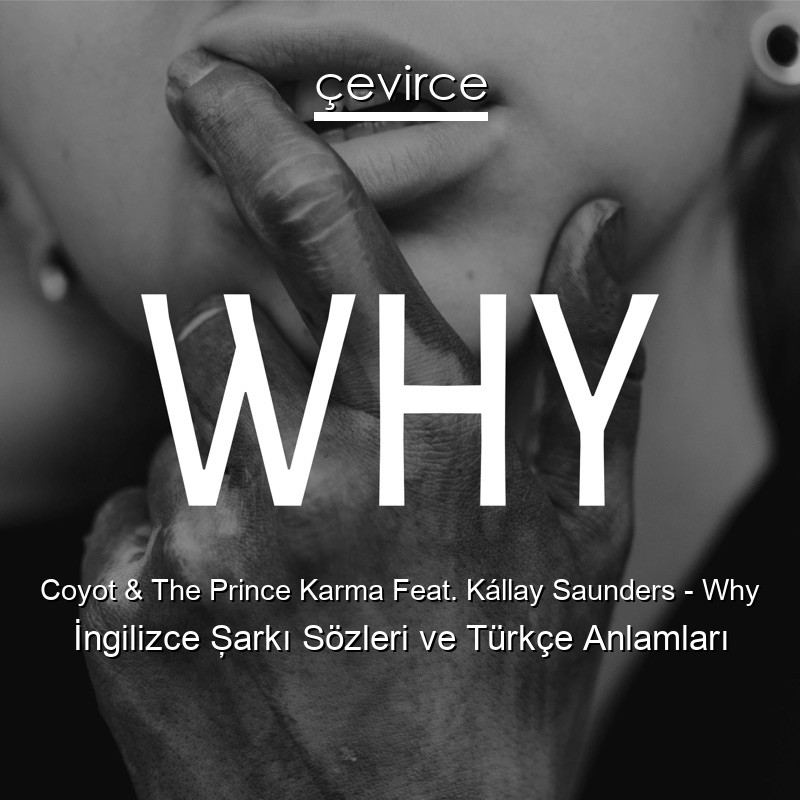 Coyot & The Prince Karma Feat. Kállay Saunders – Why İngilizce Şarkı Sözleri Türkçe Anlamları