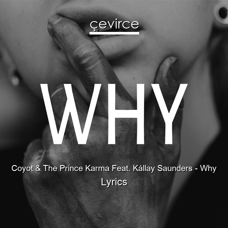Coyot & The Prince Karma Feat. Kállay Saunders – Why Lyrics