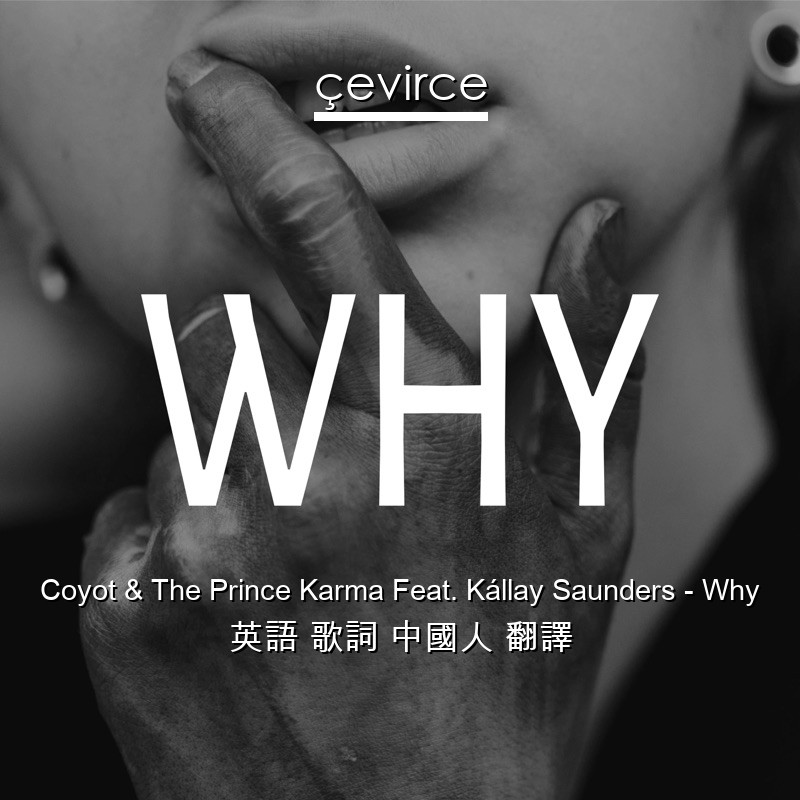 Coyot & The Prince Karma Feat. Kállay Saunders – Why 英語 歌詞 中國人 翻譯