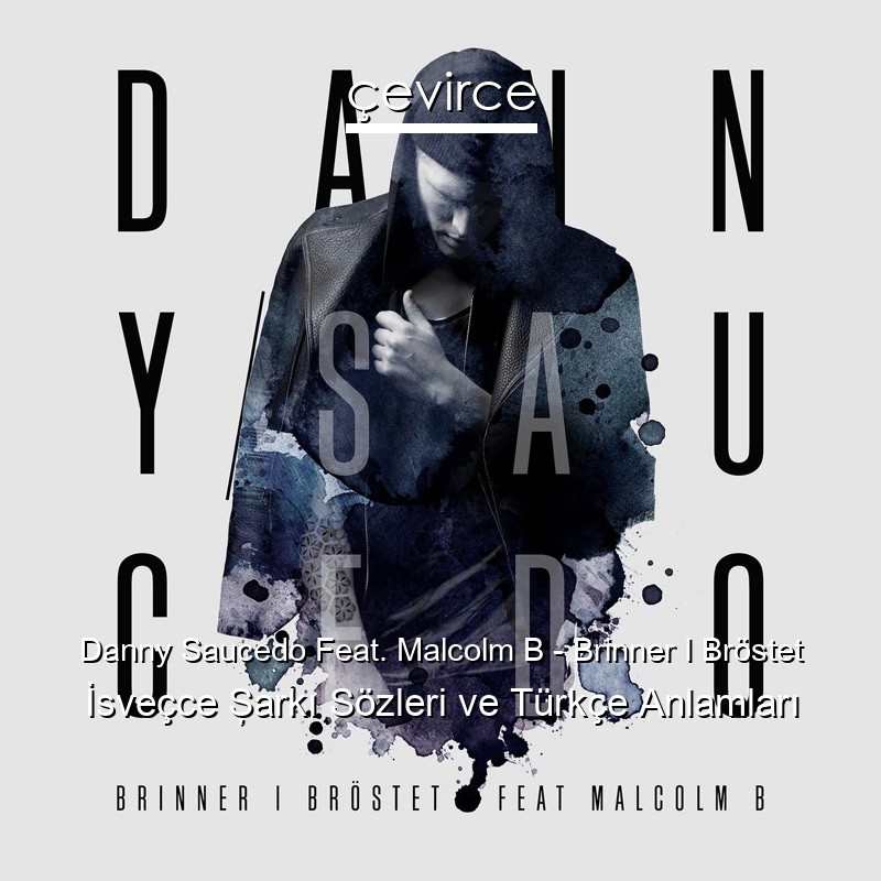 Danny Saucedo Feat. Malcolm B – Brinner I Bröstet İsveçce Şarkı Sözleri Türkçe Anlamları