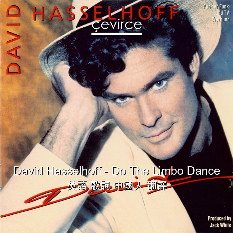 David Hasselhoff – Do The Limbo Dance 英語 歌詞 中國人 翻譯