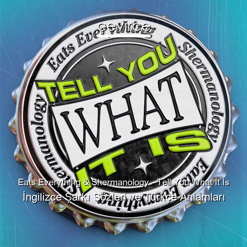 Eats Everything & Shermanology – Tell You What It Is İngilizce Şarkı Sözleri Türkçe Anlamları