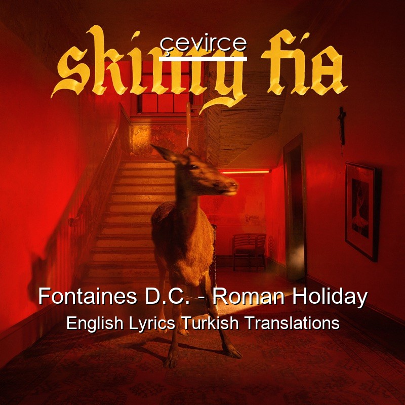 Fontaines D.C. – Roman Holiday English Lyrics Turkish Translations