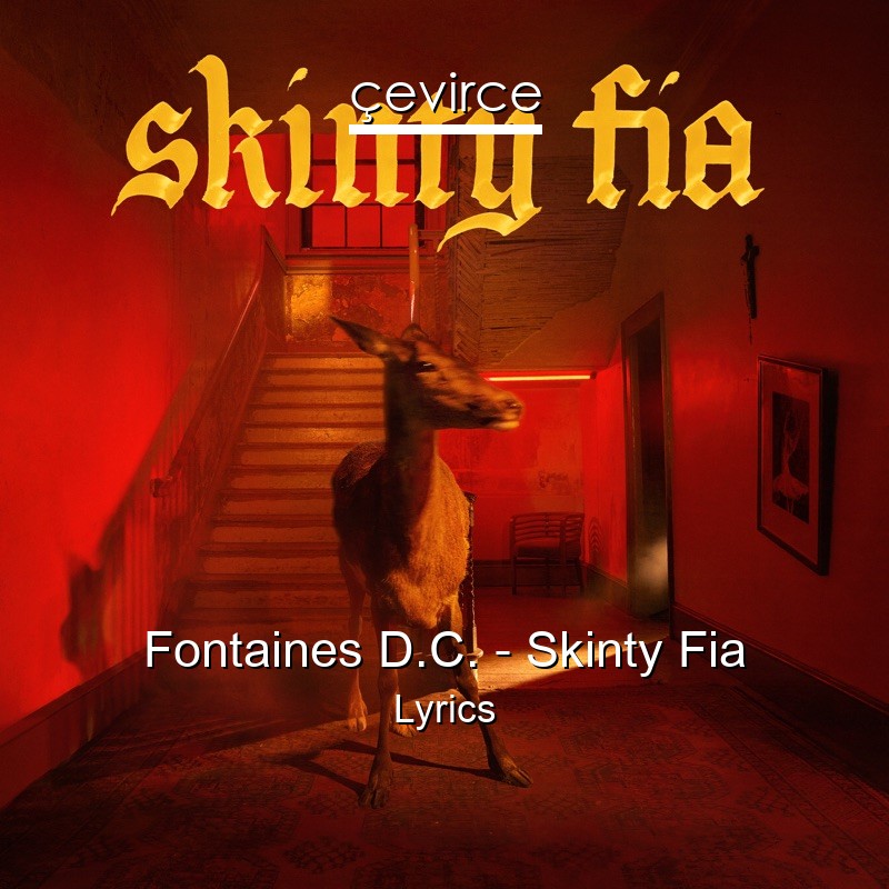 Fontaines D.C. – Skinty Fia Lyrics