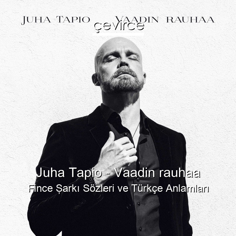 Juha Tapio – Vaadin rauhaa Fince Şarkı Sözleri Türkçe Anlamları
