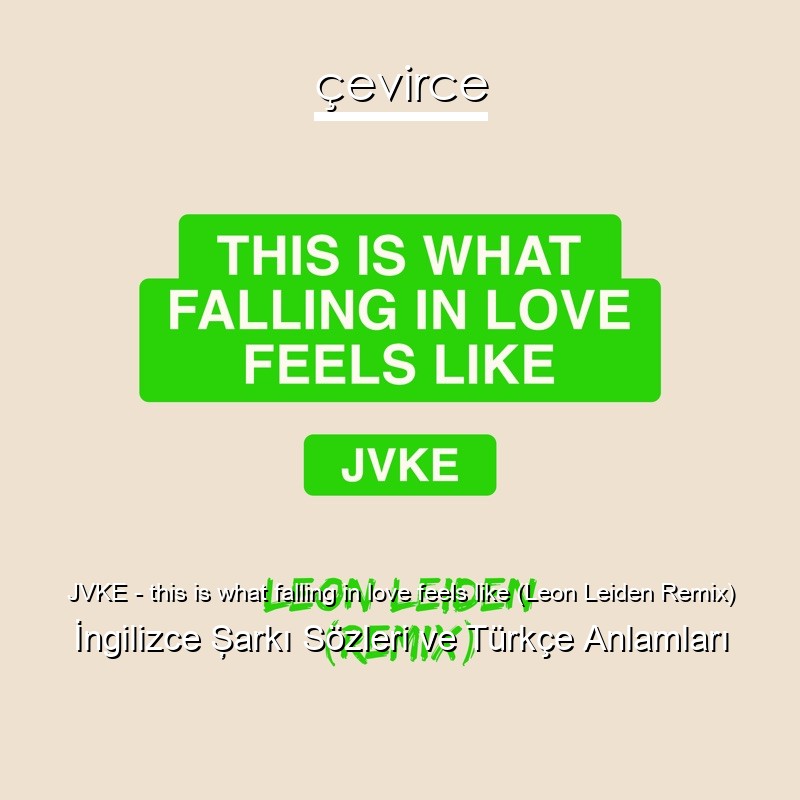 JVKE – this is what falling in love feels like (Leon Leiden Remix) İngilizce Şarkı Sözleri Türkçe Anlamları