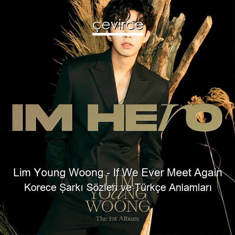 Lim Young Woong – If We Ever Meet Again Korece Şarkı Sözleri Türkçe Anlamları
