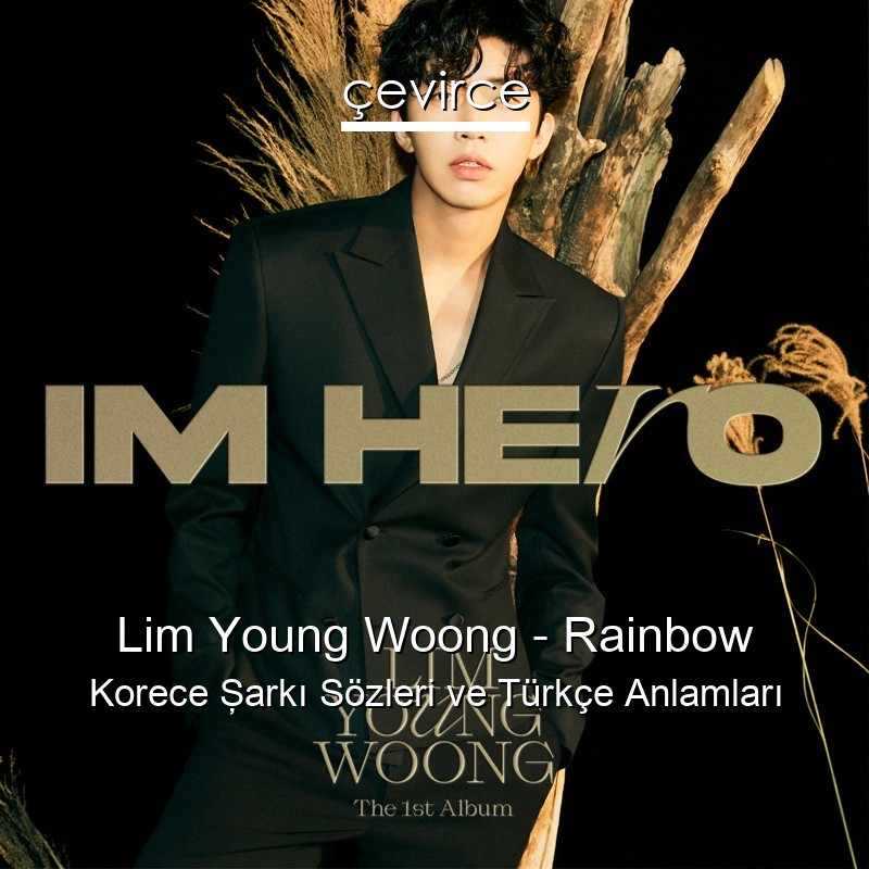 Lim Young Woong – Rainbow Korece Şarkı Sözleri Türkçe Anlamları
