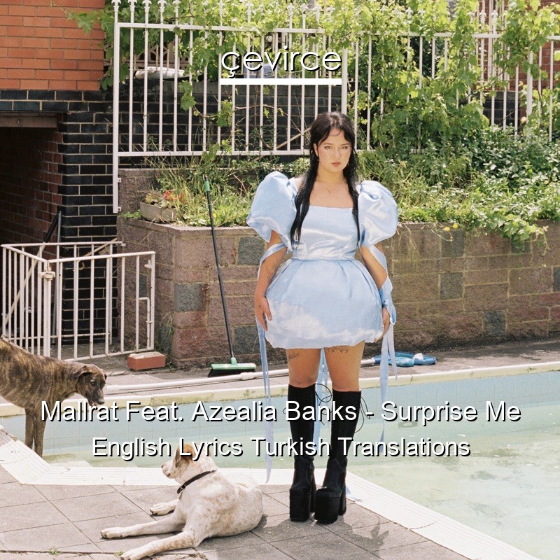 Mallrat Feat. Azealia Banks – Surprise Me English Lyrics Turkish Translations