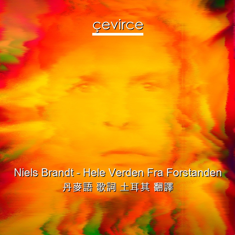 Niels Brandt – Hele Verden Fra Forstanden 丹麥語 歌詞 土耳其 翻譯