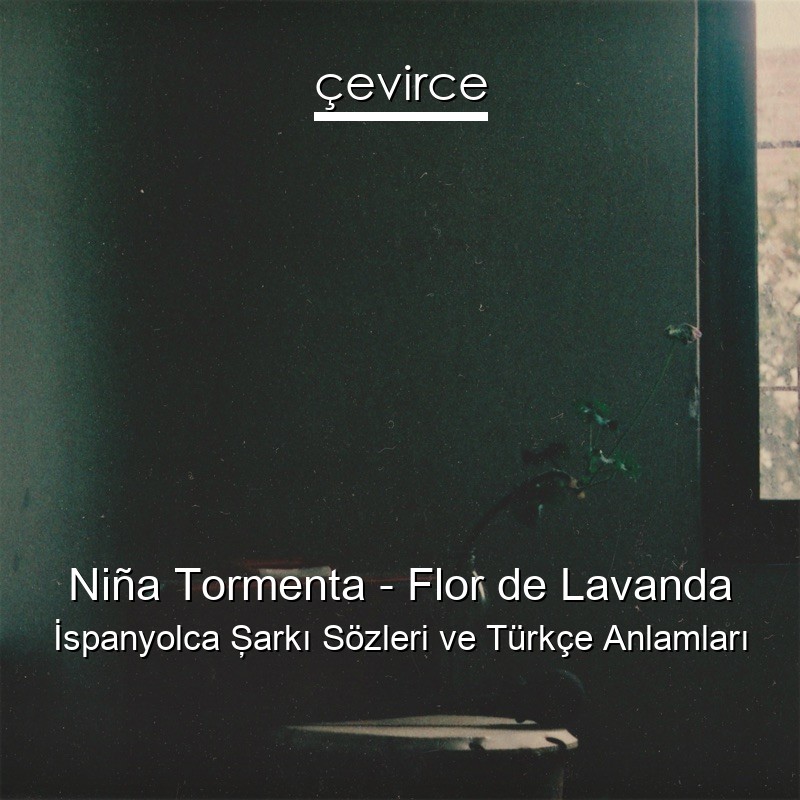 Niña Tormenta – Flor de Lavanda İspanyolca Şarkı Sözleri Türkçe Anlamları