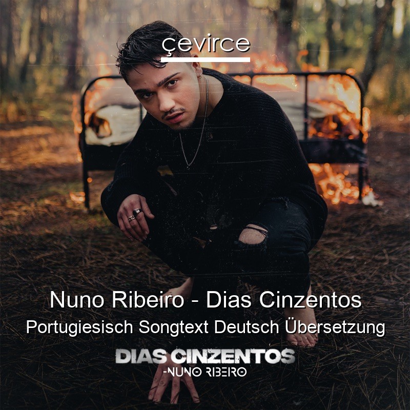 Nuno Ribeiro – Dias Cinzentos Portugiesisch Songtext Deutsch Übersetzung