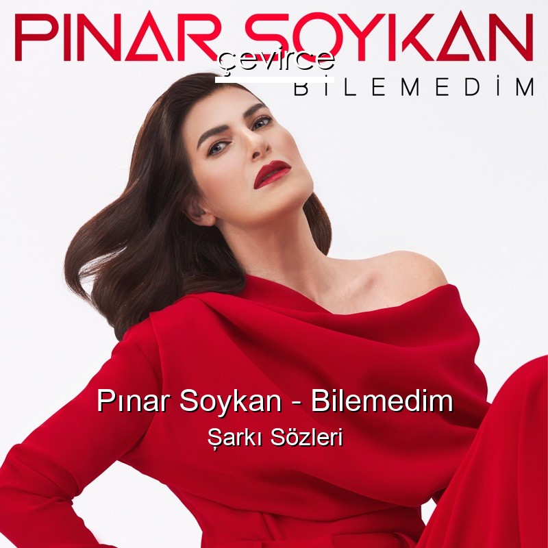 Pınar Soykan – Bilemedim Şarkı Sözleri