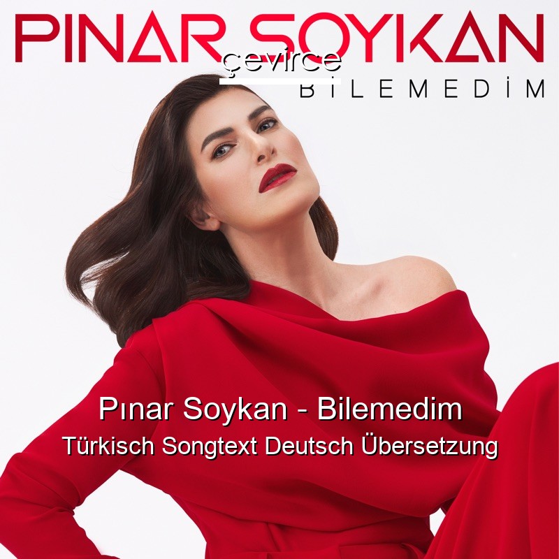 Pınar Soykan – Bilemedim Türkisch Songtext Deutsch Übersetzung