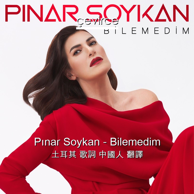 Pınar Soykan – Bilemedim 土耳其 歌詞 中國人 翻譯