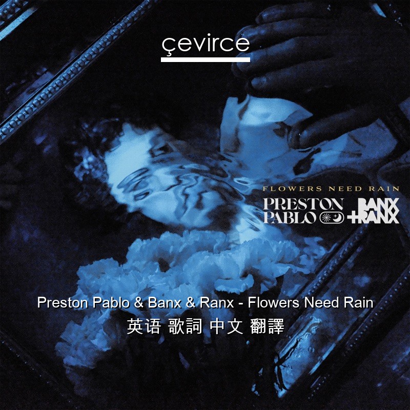 Preston Pablo & Banx & Ranx – Flowers Need Rain 英语 歌詞 中文 翻譯