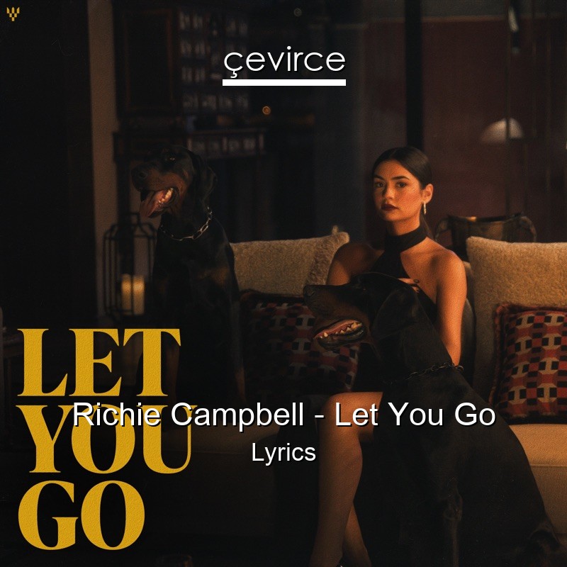 Richie Campbell – Let You Go Lyrics