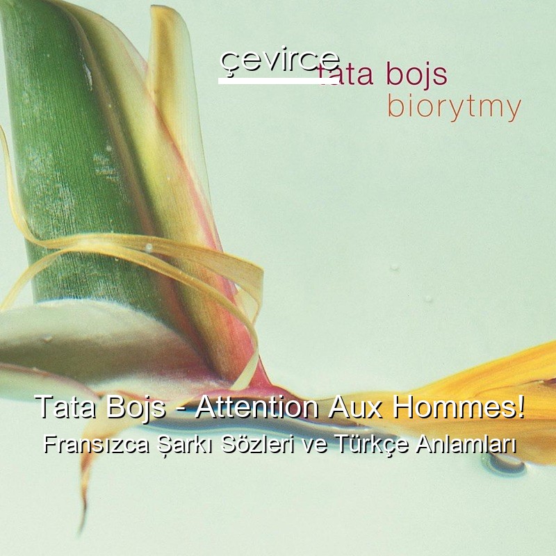 Tata Bojs – Attention Aux Hommes! Fransızca Şarkı Sözleri Türkçe Anlamları