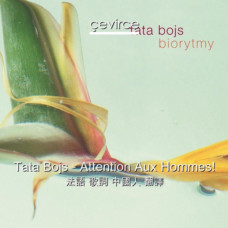 Tata Bojs – Attention Aux Hommes! 法語 歌詞 中國人 翻譯