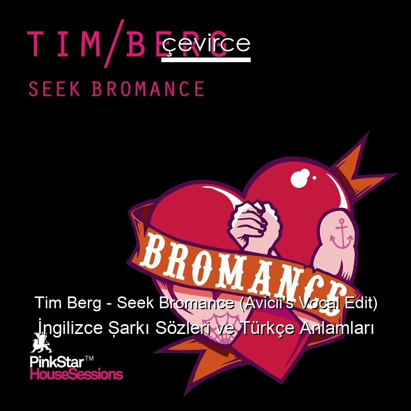 Tim Berg – Seek Bromance (Avicii’s Vocal Edit) İngilizce Şarkı Sözleri Türkçe Anlamları
